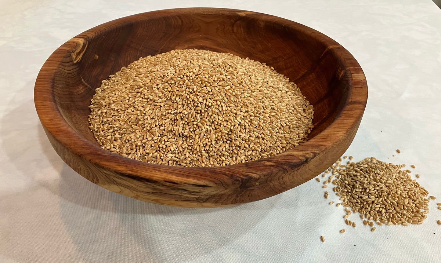 Organic Hard Red Winter Wheat Berries