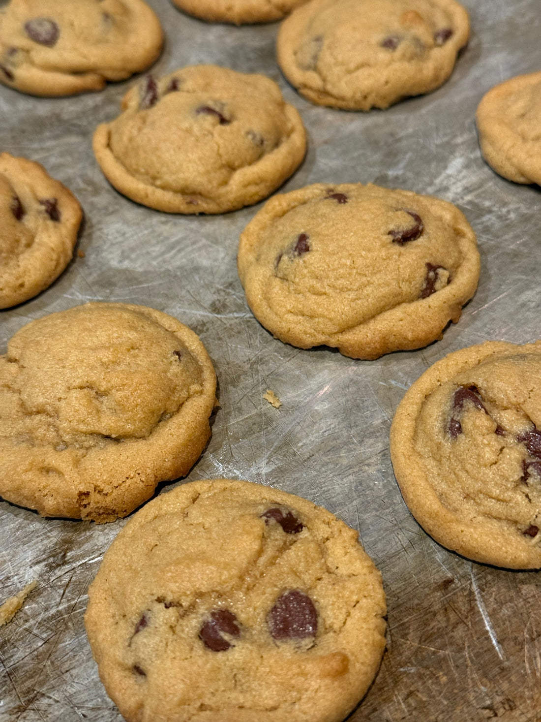 Brown Butter Chocolate Chip Cookies